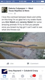 ImageUploadedByTapatalk1445438915.734696.jpg