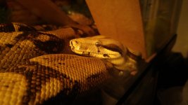 20151110_173548.jpg