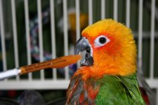 IMG_6606.jpg