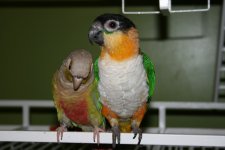 IMG_6579.jpg