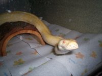 cuddles6.jpg