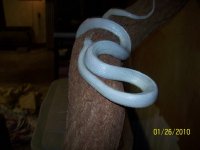 100_2074.jpg