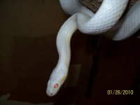 100_2076.jpg
