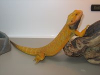 IMG_5550.jpg