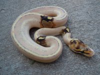 DSCN3590.JPG