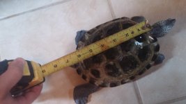 20160117_133058.jpg