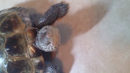 20160117_133041.jpg