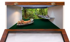 24D Model cage, African Zebrawood front panel, 070115-1a 75 percent.jpg
