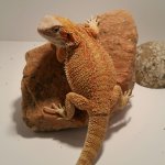 20160117_133930.jpg