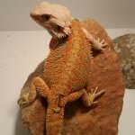 20160117_140510.jpg