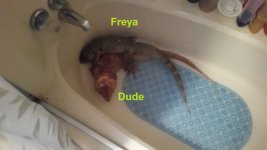 dude and freya.jpg