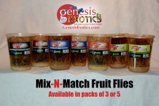 mixnmatch.jpg