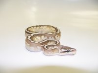 Pastel_Soul_Sucker_331M2_15.jpg