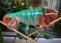 IMG_6027.jpeg