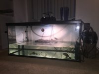 IMG_2298.jpg