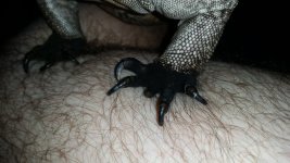 20150916_115540.jpg