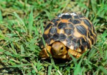 thumb_DSC_0450_1024.jpg