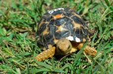 thumb_DSC_0556_1024.jpg