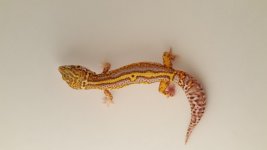 20160123_171916.jpg