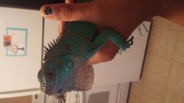 20151019_200128.jpg