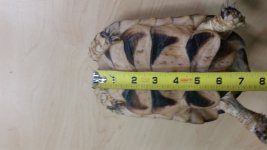 20160228_130333.jpg