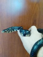 IMG_20160116_125443.jpg