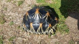 20160228_133615.jpg