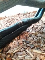 IMG_20151222_081631.jpg
