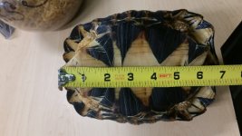 20160228_132956.jpg