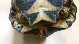 20160228_133034.jpg