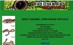 ugreptilesfalsecaramel-1.jpg