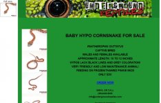ugreptilesfalsehypo-1.jpg