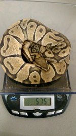 IMG_0176.jpg