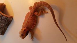 20160214_124436.jpg