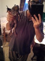 bullfrogself.jpg