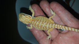 20160130_114720.jpg
