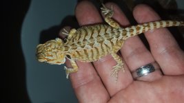 20160130_114712.jpg