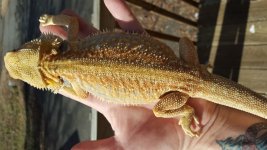 20160130_112455.jpg