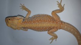 20160130_112535.jpg