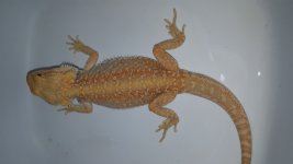 20160130_112532.jpg