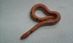 20160314_161145.jpg