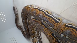 20160207_114138.jpg