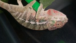 20160118_073838.jpg