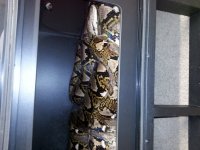 20160103_140233.jpg