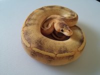 20150822_090538.jpg