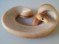 20150822_090736.jpg