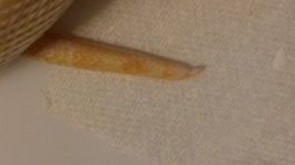 20151207_145618.jpg