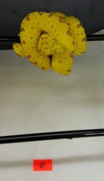 12359359_449677128557272_1018627444_o.jpg
