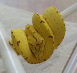 20160114_114842-1.jpg