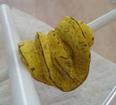 20160114_114812-1.jpg